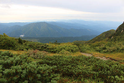 鍬崎山と遠く白山方面の写真