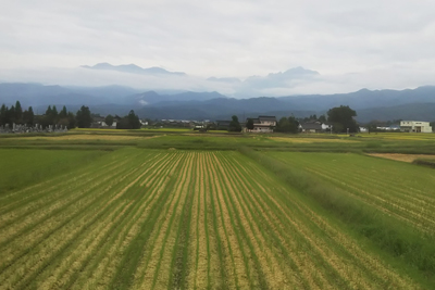 刈り取りの終わったたんぼと剣岳、毛勝三山方面の写真