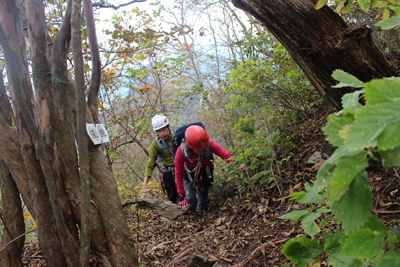 鷹戻しからさらに登山道を歩いている写真
