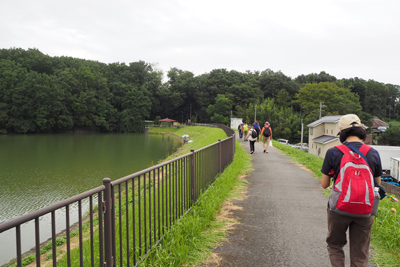 大沼の遊歩道をさらに歩いている写真