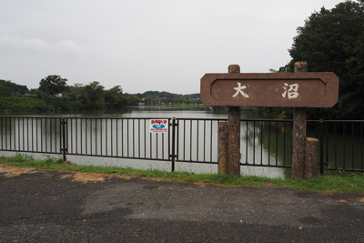 大沼の写真