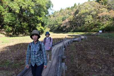 湿性花園の木道を歩いている写真