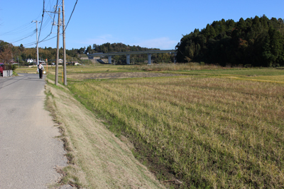 里山の風景の中を歩いているMIさんの写真