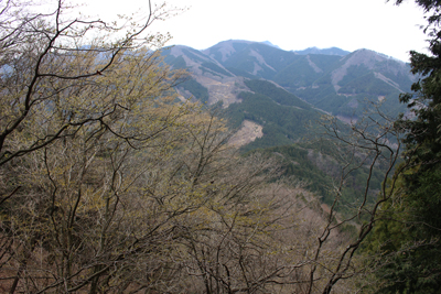 武川岳の写真