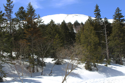 鳩待峠から見た至仏山の写真