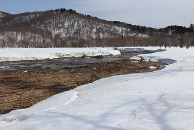 雪原が溶けて広い沢となって流れる湿原の写真