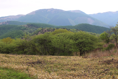 高ボッチ山から見た鉢伏山方面の写真