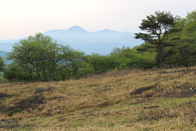 蓼科山の写真