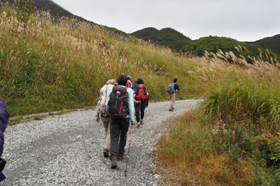 竜山に向けて林道を歩きはじめた写真