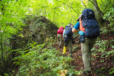 登山道の急坂を登っている写真