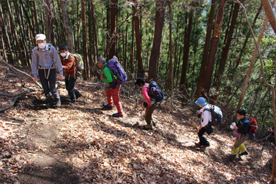 宮地山山頂直下を登っている写真