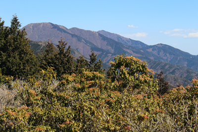 シダンゴ山山頂から見た三ノ塔、二ノ塔、大山の写真
