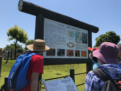 高麗村石器時代住居跡の案内を見ている写真