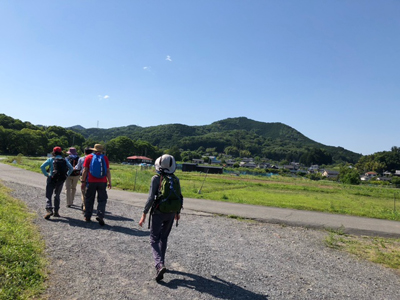 巾着田を歩いている写真