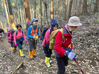 傾斜の緩い山道を登っている写真