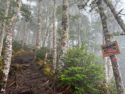 鳳凰小屋まであと20分と書かれた標識と霧に包まれた樹林帯の写真