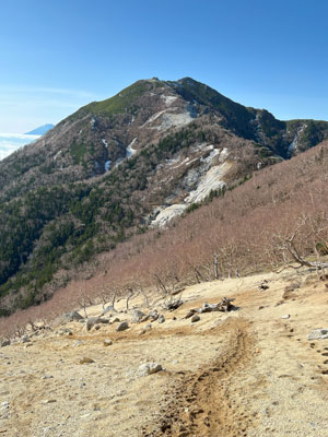砂場（ザレ場）につけられた登山道の写真
