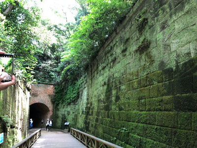 石垣にきれいな苔が付いたところを歩いている写真