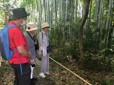 竹林の散策路を歩いている写真