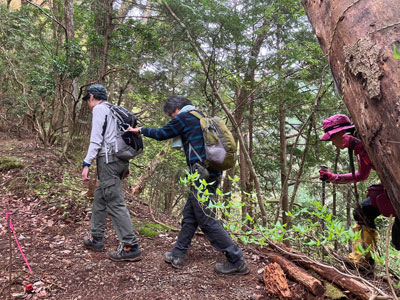 再び、登山道を登り始めた写真