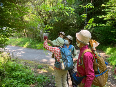 藤の花に触って確認しているAさんと説明しているメンバーの写真