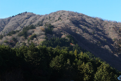 見晴台から見た大山の写真