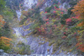 東沢釜の沢の紅葉の写真へリンク