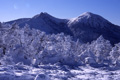 中山付近から見た天狗岳の写真へリンク