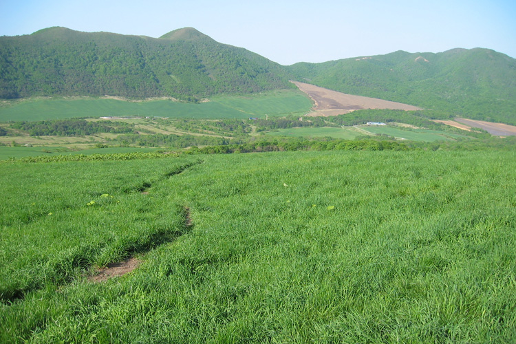 七時雨山方面から見た田代山の写真
