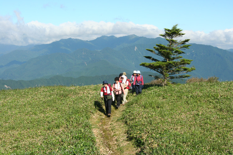 三嶺などを背に丸笹山に向かっている写真