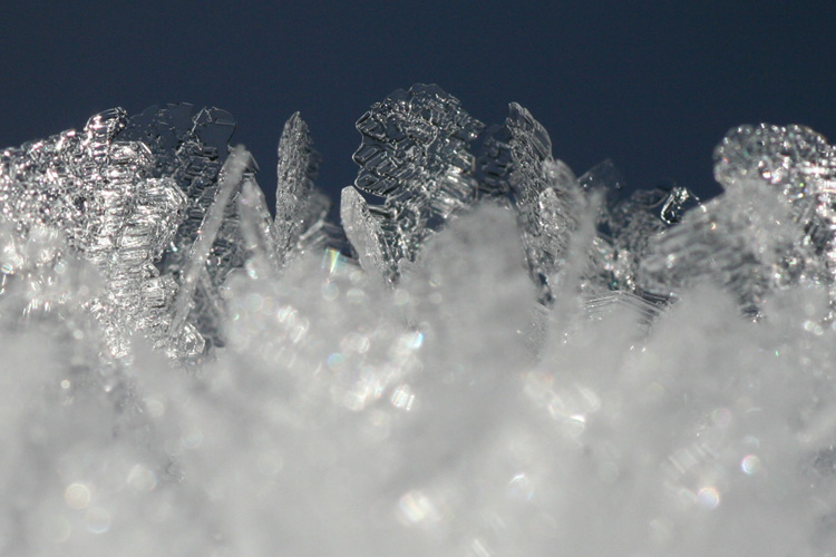 氷の結晶の写真