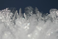 天狗岳で撮影した氷の結晶の写真へリンク