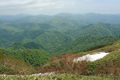 白神山地の写真にリンク