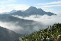 瓶ヶ森方面から見た石鎚山の写真にリンク