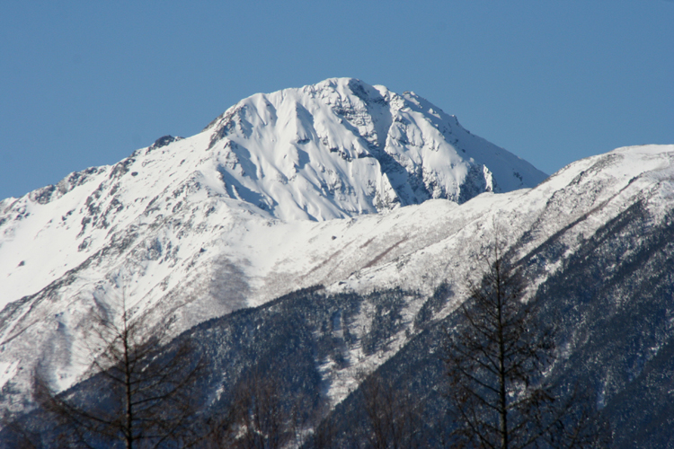 夜叉神峠から見た北岳の写真