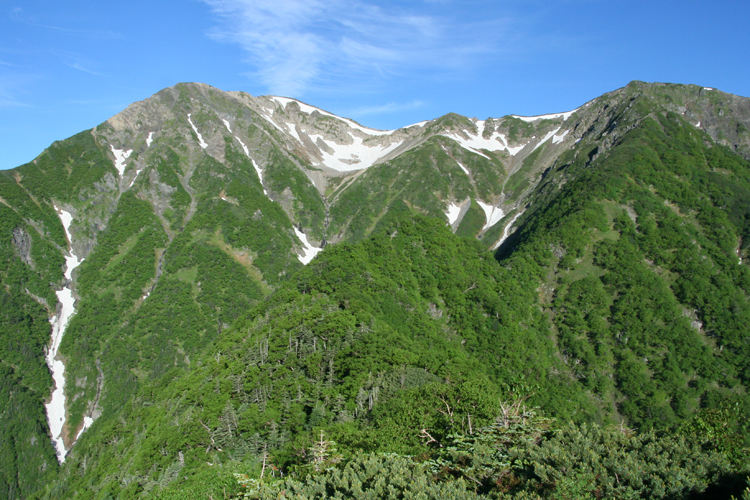 富士見平から見た赤石岳の写真