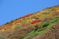 中ノ岳山腹の紅葉の写真にリンク