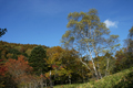 蓼科山で撮影した紅葉の写真にリンク