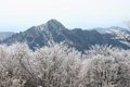 樹氷と鎌ヶ岳の写真へリンク