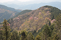 景信山から見た芽吹きの山の写真へリンク