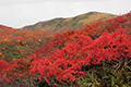 栗駒山と紅葉の写真にリンク