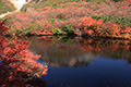 那須岳の瓢箪池の写真にリンク