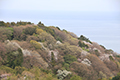 春の山腹と海の写真にリンク