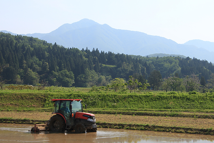 トラクターと米山の写真