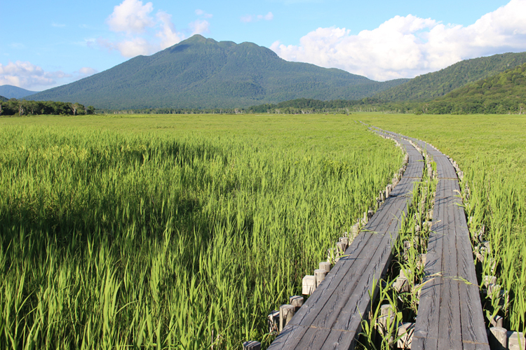 人のいない尾瀬ヶ原と燧ヶ岳の写真