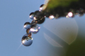 水滴の中で輝く太陽の写真にリンク