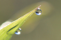 水滴の中の山の写真にリンク